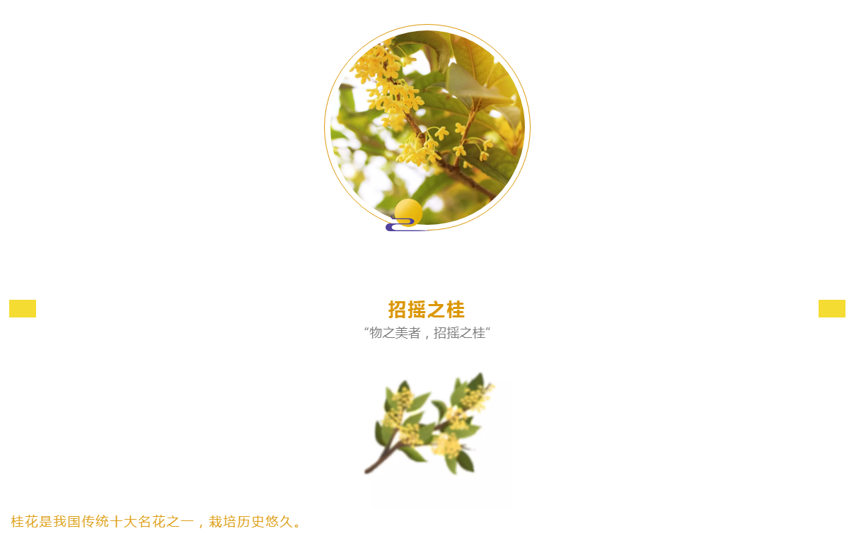 QQ浏览器截图20190920142938.png